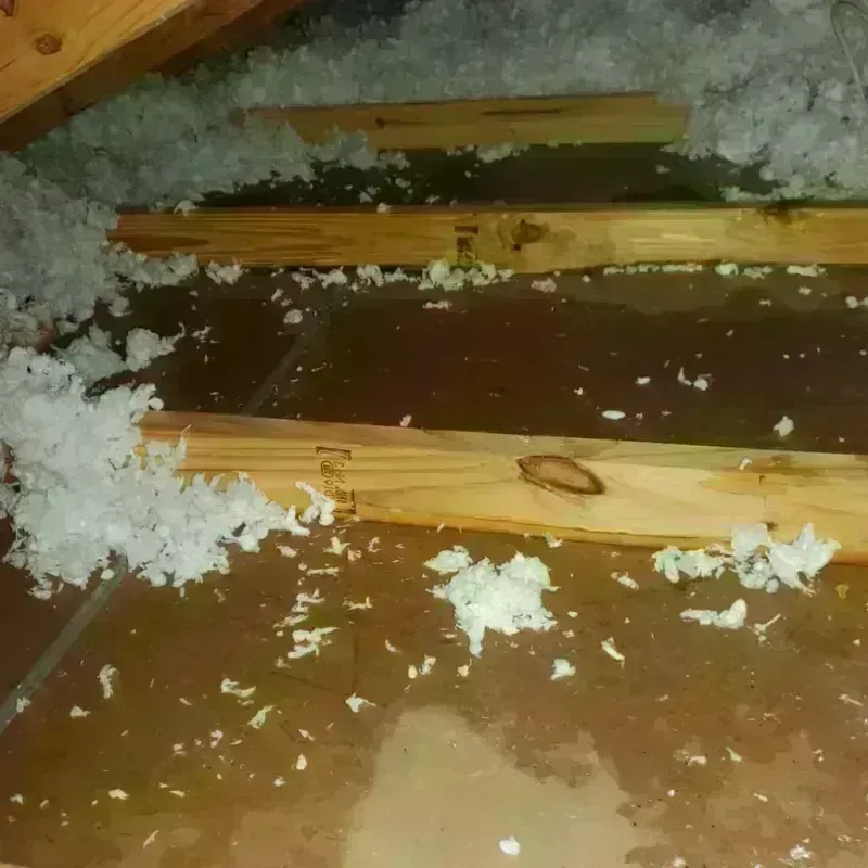 Attic Water Damage in Saint Elmo, IL