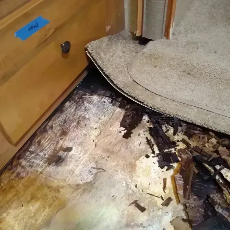 Wood Floor Water Damage in Saint Elmo, IL